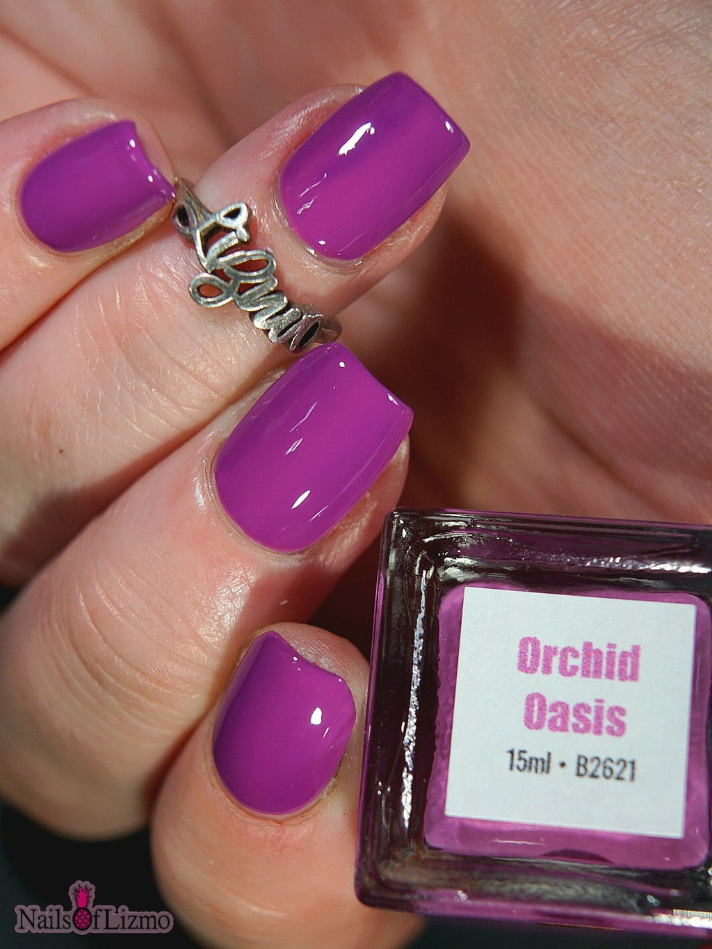 Orchid Oasis