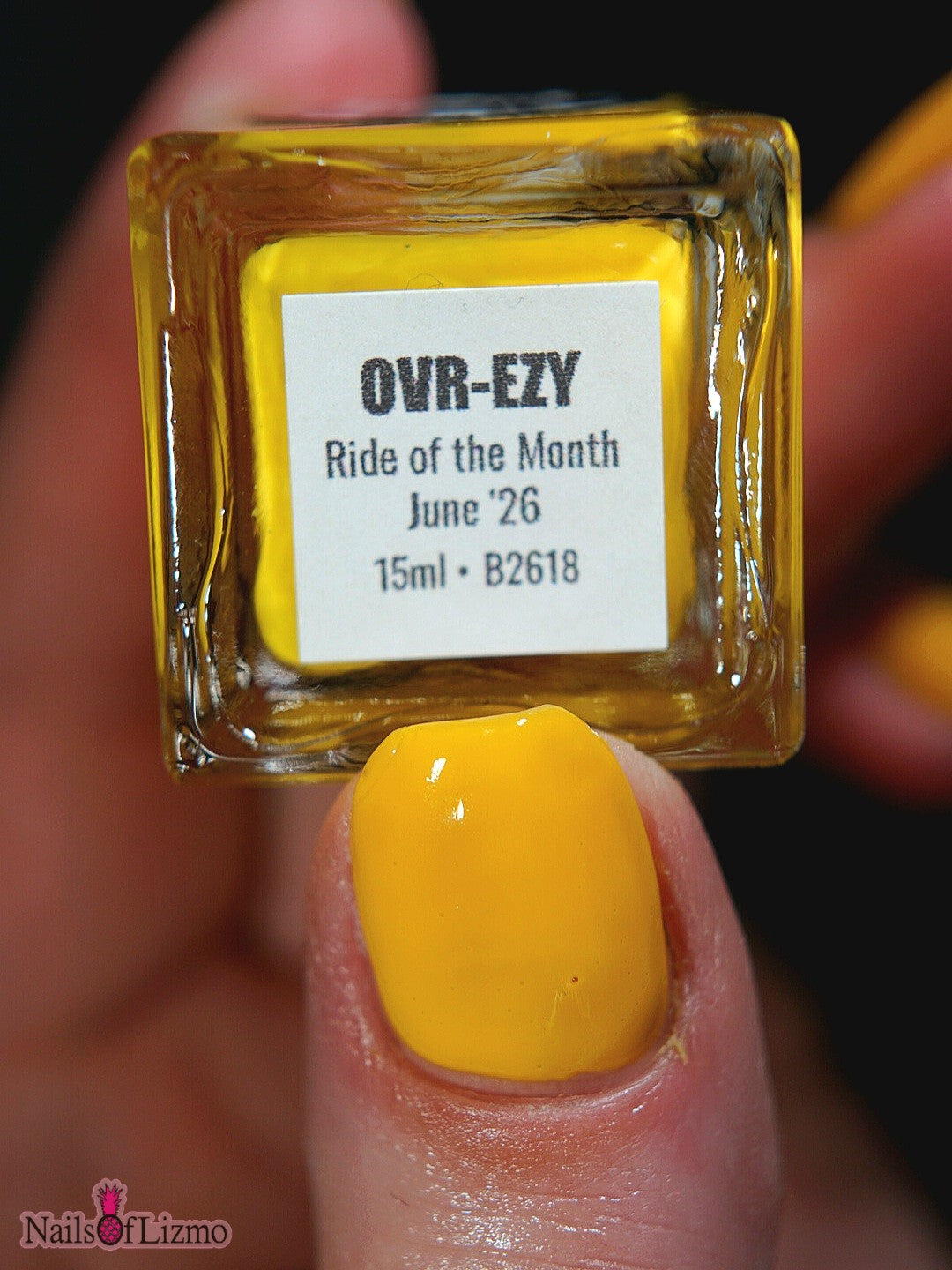 OVR-EZY -  (Ride of the Month) June 2026