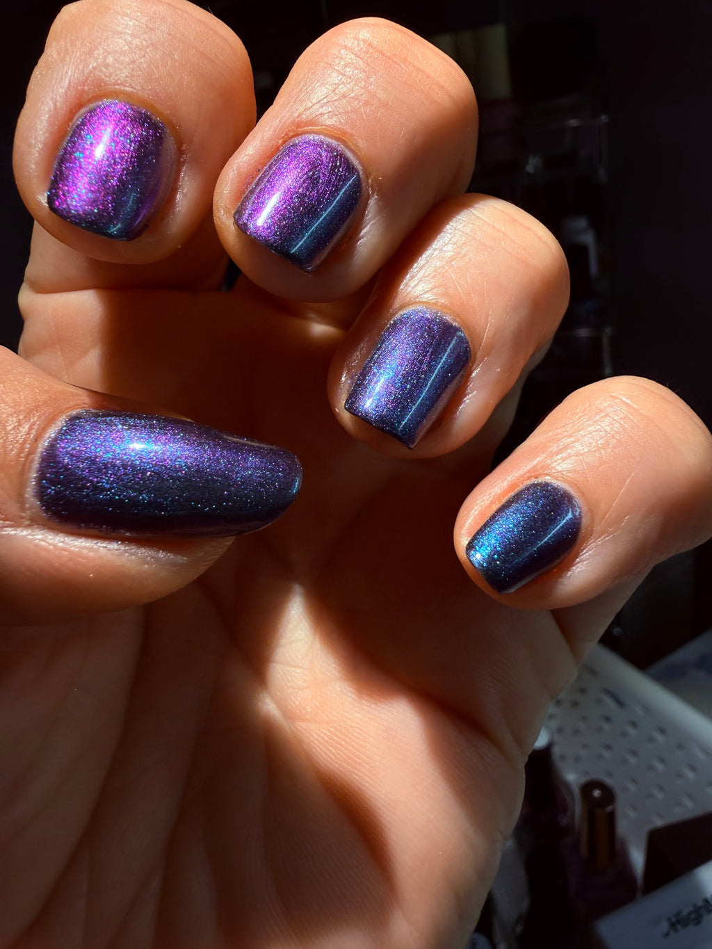 Electric Summer Collection (4 Piece collection)