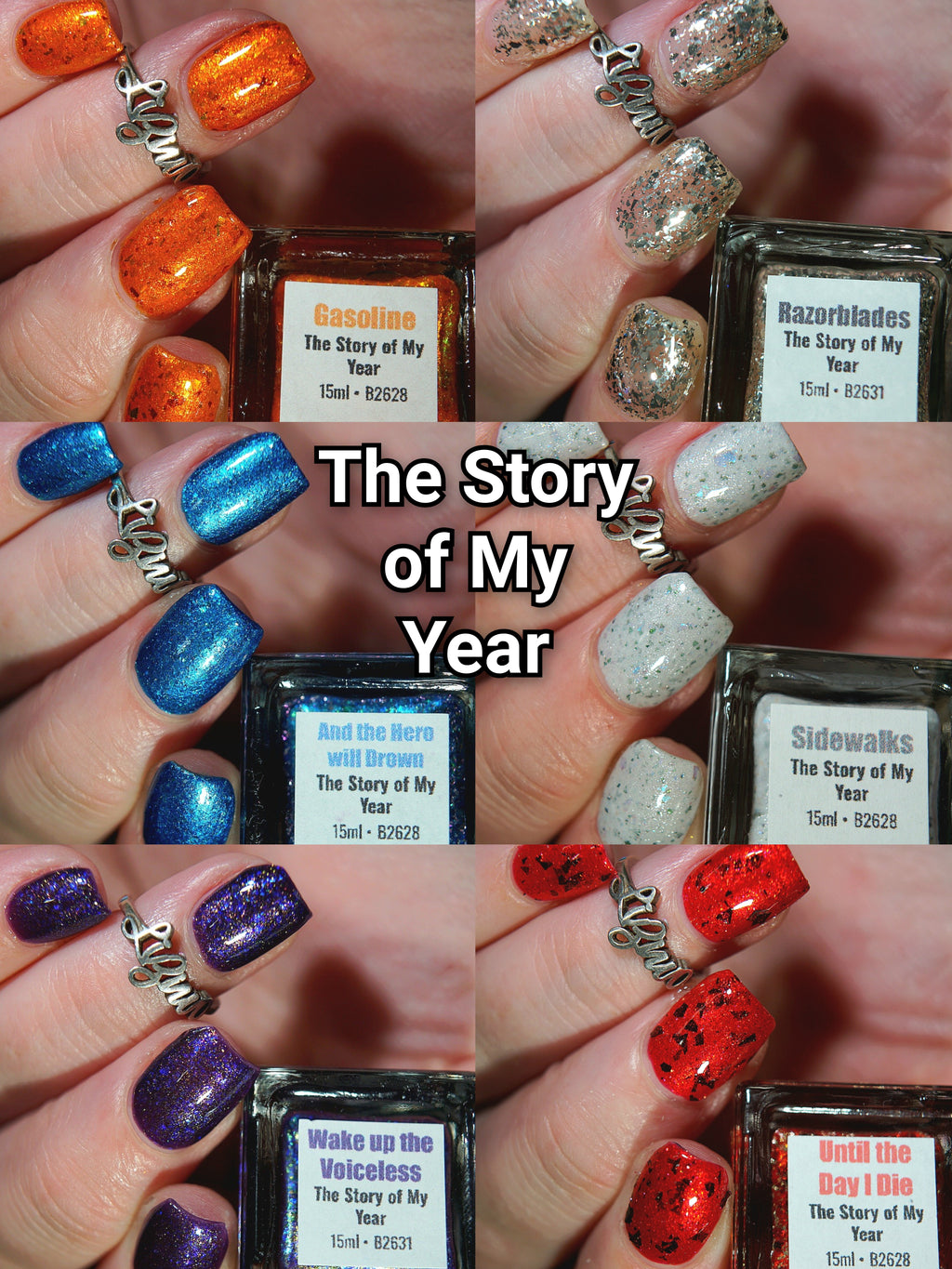 The Story of My Year (6 Piece Collection)